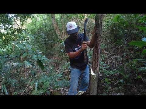 SE03EP015 Part 5 - Ang SURVIVAL INSTINCT ni ALDES RICHARD | San Pablo City, Laguna