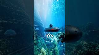 What’s the work of a submarines