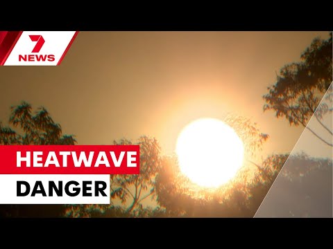 Sydney heatwave threatens lives as temperatures soar past 42 degrees i | 7NEWS