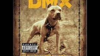 DMX - The Rain