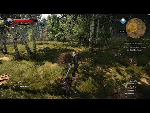 The Witcher 3 Wild Hunt - Let's Play - 4K 60fps - #04 - Die Bestie von Weissgarten
