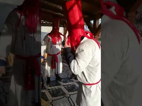 Irozii din Fratilesti