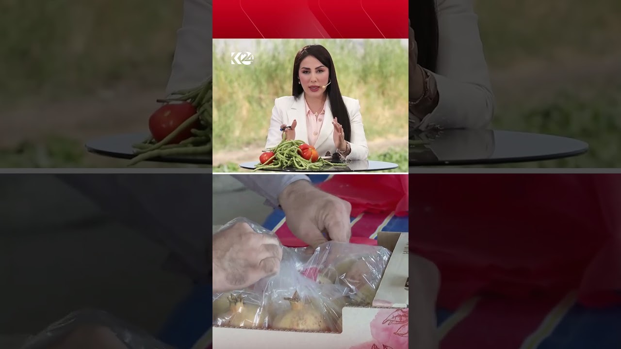 ڤیدیۆ | هاژە غەفوور دەڵێت، ئەمڕۆ لەنێو کێڵگەی زێڕی کوردستانم