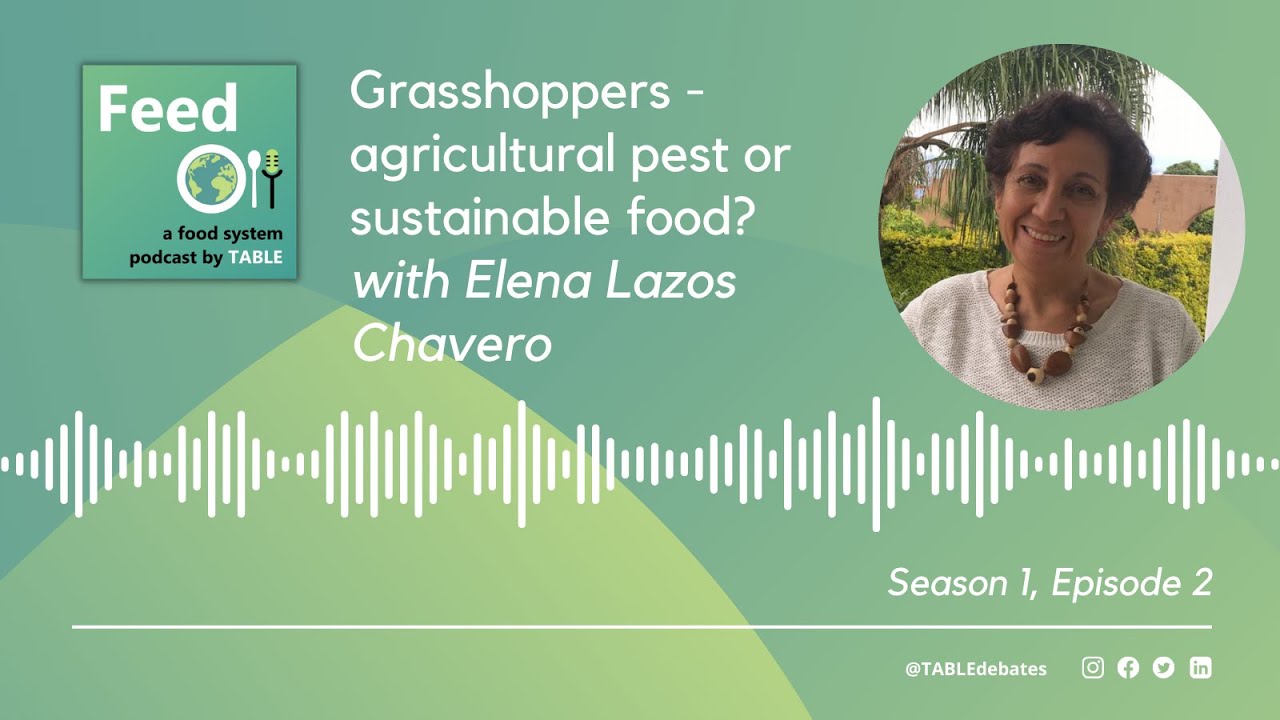 Feed Podcast S3E2: Grasshoppers - agricultural pest or sustainable food?