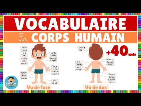 Vidéo 1