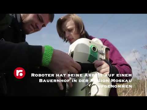 Roboter hat seine Arbeit auf einem Bauernhof in der Region Moskau aufgenommen