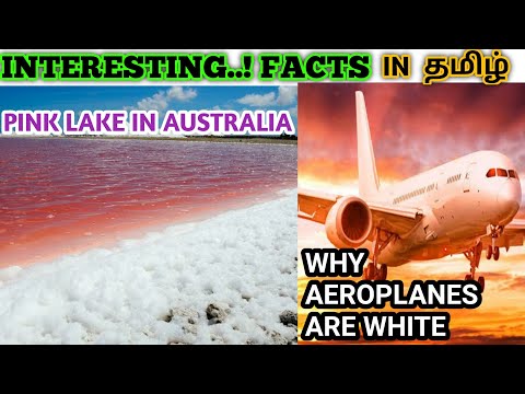 PINK LAKE IN AUSTRALIA || ORANGE FRUIT OR ORANGE COLOUR WHICH NAME IS CAME FIRST? || EXO TIMES
