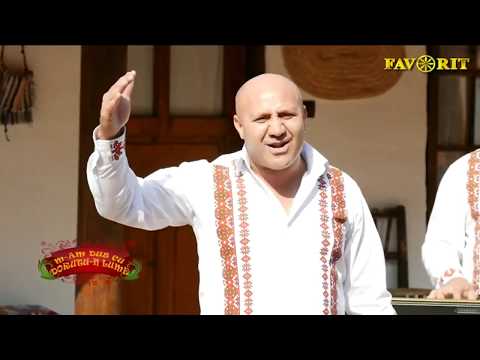 Formatia favorit Band Onesti - Elvis Vișan - Hai la hora mare