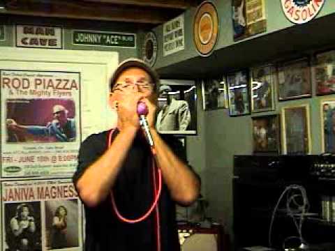 Violet JT-30 Custom Harp Mic