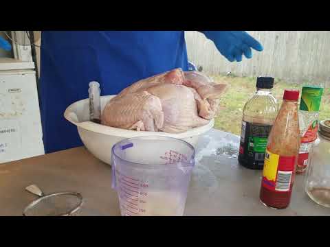 Thanksgiving Turkey in the Big Easy