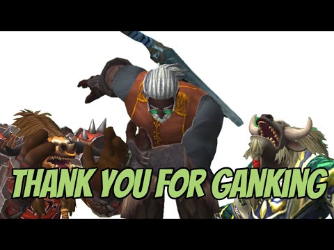 Thank you for GANKING this Marksmanship Hunter - Battleground and World PVP - WoW: Dragonflight
