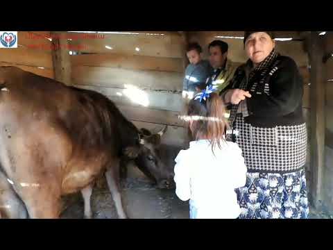 Տավուշի մարզ գյուղ Զորական// Tavush region village Zorakan