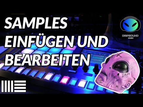 Samples / Vocals einfügen und bearbeiten im Sampler / Ableton Live 11 Tutorial für Beginner Deutsch