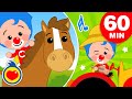 Animal Sounds Playful Learning Plim Plim The Kindness Hero