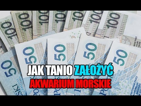 (55) Glossy Reef 200 - Jak tanio uruchomić/założyć akwarium morskie bez sumpa - Reef aquarium