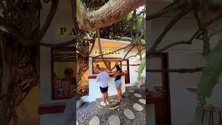 Download lagu Kopi Pangeran Ubud #shorts #travelling #bali #ubud #viral #fyp mp3