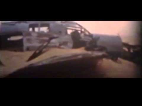 The lost Sparrowhawk