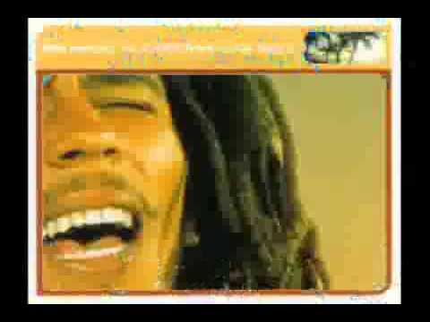 Bob Marley vs Funkstar deluxe Sun is Shining