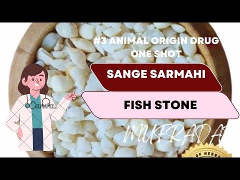Sange Sarmahi || Animal origin drug 03 ||  Mufradat ||Bums || Unani Medicine