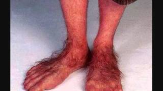 El recuento de Marino