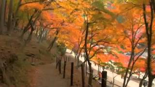 Rosie Thomas October