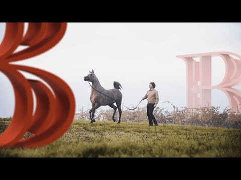 ALJASSIMYA FARM - Paris 2022