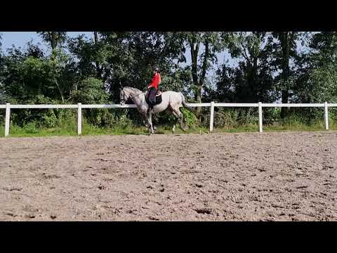 Stal Okkema's Two Tone