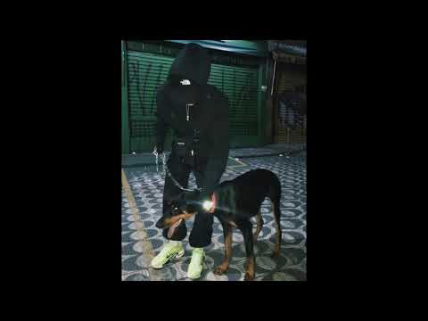 [FREE] 65GOONZ X PASHANIM X RARESY Type Beat "WARE" (prod. by numb.flp)