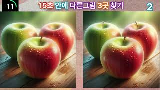 [15초다른그림찾기sb/@FINDIT-sb] 60대,99%가찾은다른그림찾기[두뇌운동/집중력/기억력/인지력/치매예방/brain exercise]