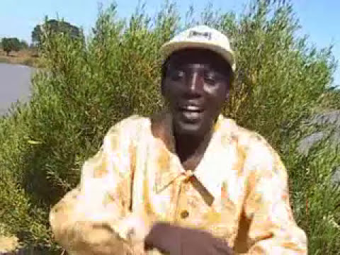 John De'Mathew - Mteja