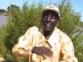 John De Mathew Mteja