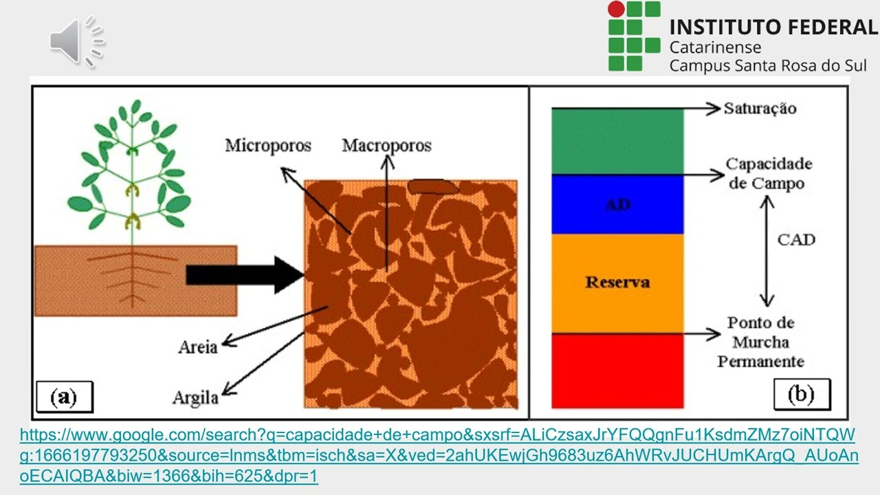 Capacidade de Campo e Ponto de Murcha Permanente Lillian Lionélla