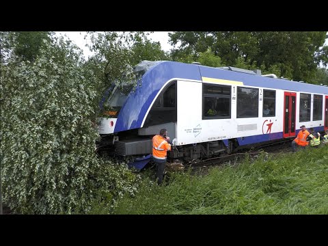 Massive Unwetterschäden in Bayern: Bahn kollidiert mit großem Baum