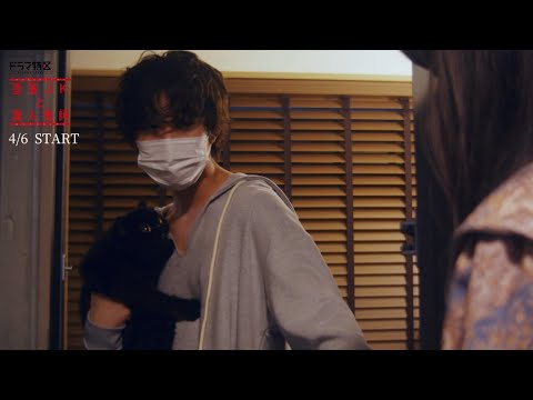 墜落JKと廃人教師【ドラマ特区】番組予告　主演:橋本涼(HiHiJets/ジャニーズJr.) ヒロイン:髙石あかり