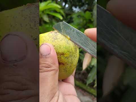 Surah Al-Kawthar readingQuran ! Mango 🥭 catting #egzonibrahimi