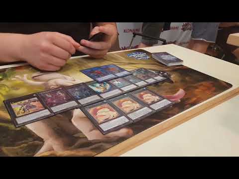 Paleozoic Frogs Top 64 EUWCQ 2018