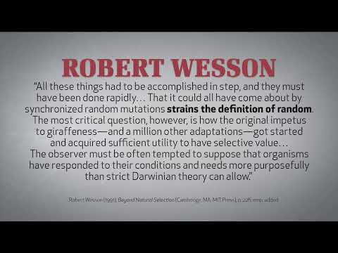 MTM TV Live Stream.... God Family Ministries Live Service