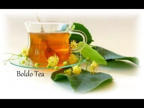 Boldo: The forgotten liver herb - YouTube