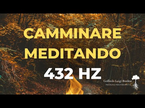 GUIDED MEDITATION FOR WALKING AND LISTENING TO YOURSELF