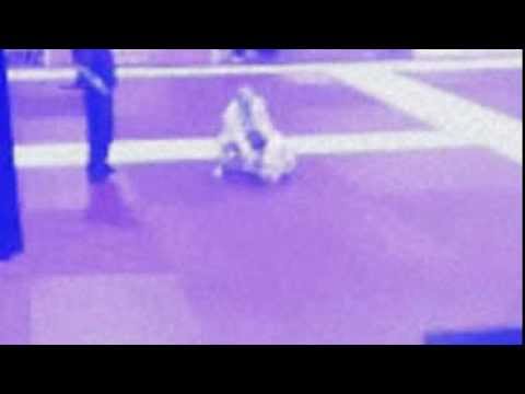 IBJJF Vegas Open Senior 1 Light Feather Blue Belt