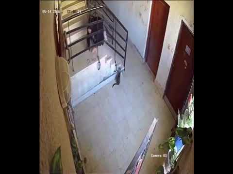 العدالة الإلهية