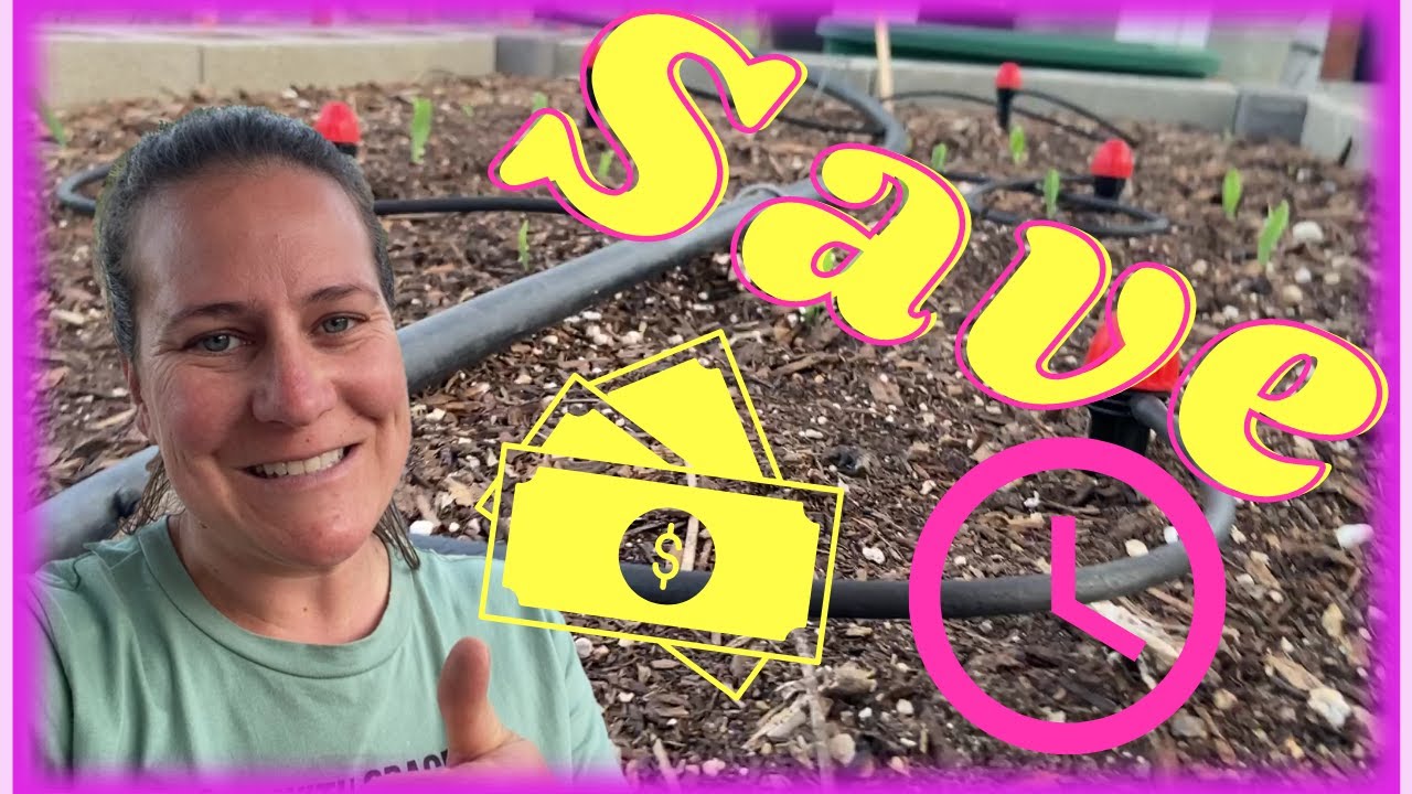 Save Time and Water with an Automatic Irrigation System