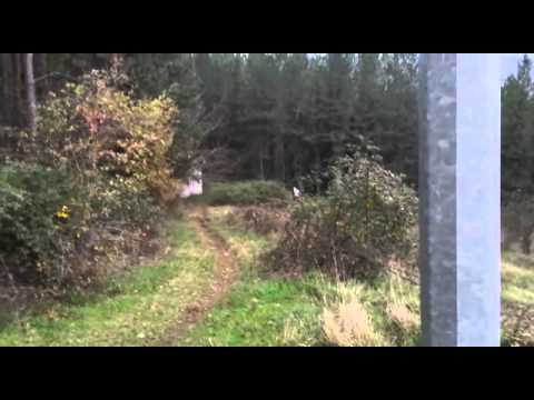 Mc Vernio! Honda Cre250x