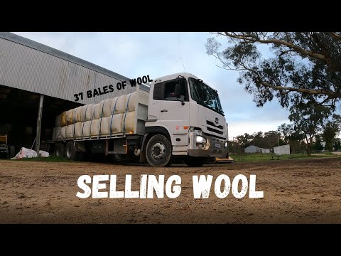 Wool goes Walkabout | Selling Wool | Australian Sheep Farming