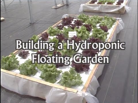 Video: Complete Lettuce Raft Build