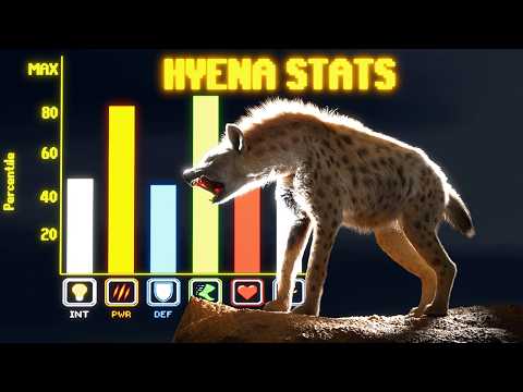 Are Hyenas Broken in the Current Meta?