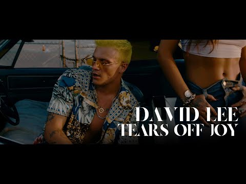 D4vid Lee   Tears Off Joy