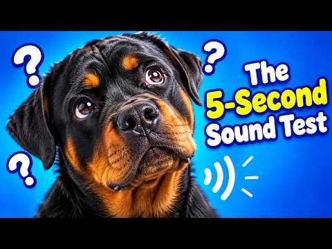 The 5-Second Sound Test That Confuses Every Dog 🐕