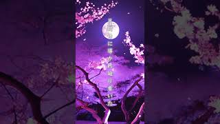 【大型新人Vtuber】デビュー直前！12.10 20:00をお楽しみに！ #新人vtuber