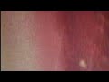 Pinkpantheress Take Me Home UNRELEASED VISUALISER UNHEARD DEMO VERSION